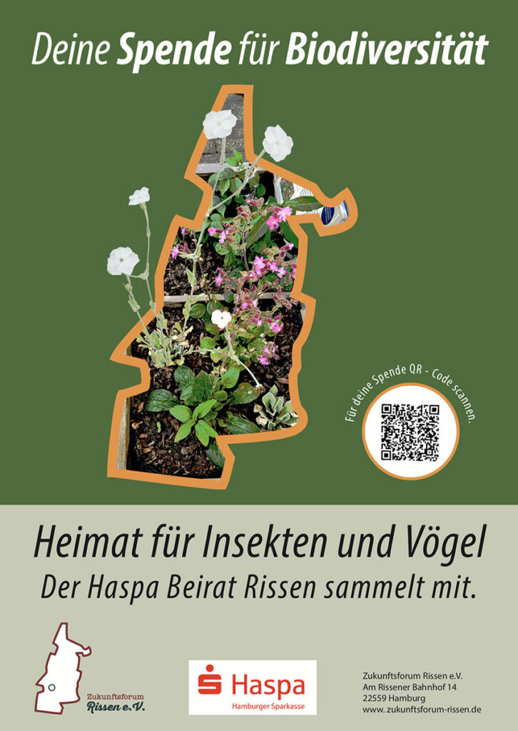 Veranstaltungsplakat des Vereins Zukunftsforum Rissen e. V.